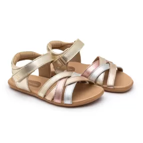 Criss Cross - Champagne / Metallic Salmon / Rose Gold (Kids)