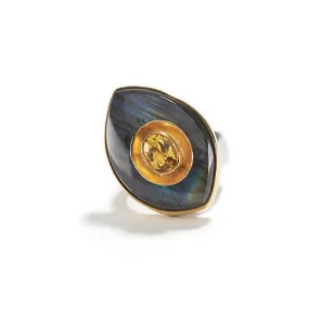 Ring in Silver, Gold, Labradorite & Beryl